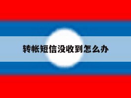 转帐短信没收到怎么办