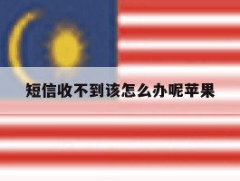 短信收不到该怎么办呢苹果