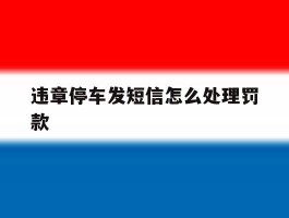 违章停车发短信怎么处理罚款