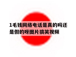 1毛钱网络电话是真的吗还是假的呀图片搞笑视频的简单介绍