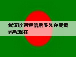 关于武汉收到短信后多久会变黄码呢现在的信息