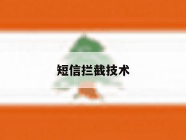 短信拦截技术