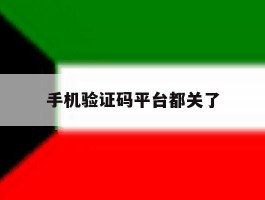 手机验证码平台都关了