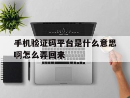 手机验证码平台是什么意思啊怎么弄回来