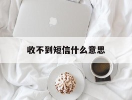 收不到短信什么意思