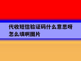 关于代收短信验证码什么意思呀怎么填啊图片的信息