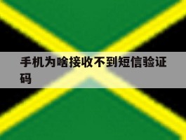 手机为啥接收不到短信验证码