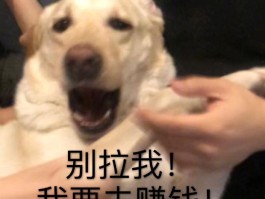 1毛钱网络电话是真的吗还是假的呀图片搞笑表情包的简单介绍