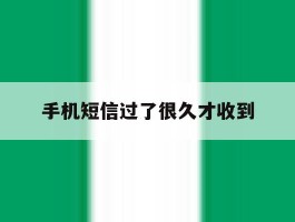 手机短信过了很久才收到
