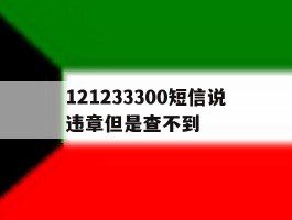 121233300短信说违章但是查不到