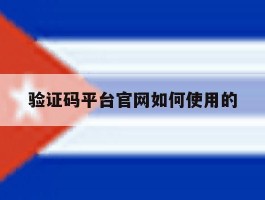 验证码平台官网如何使用的