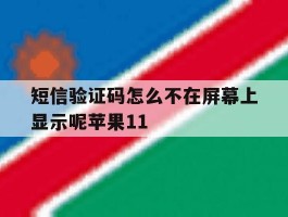 关于短信验证码怎么不在屏幕上显示呢苹果11的信息
